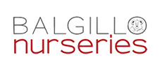Balgillo Nurseries  - Childcare in Dundee and Tayside