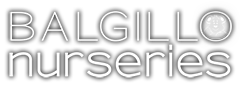 Balgillo Nurseries Dundee | Childcare for 0 - 5 years old